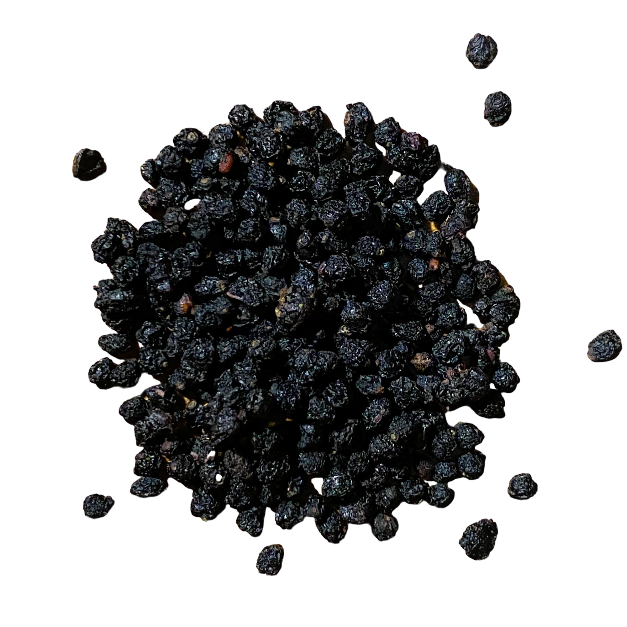 Elderberry