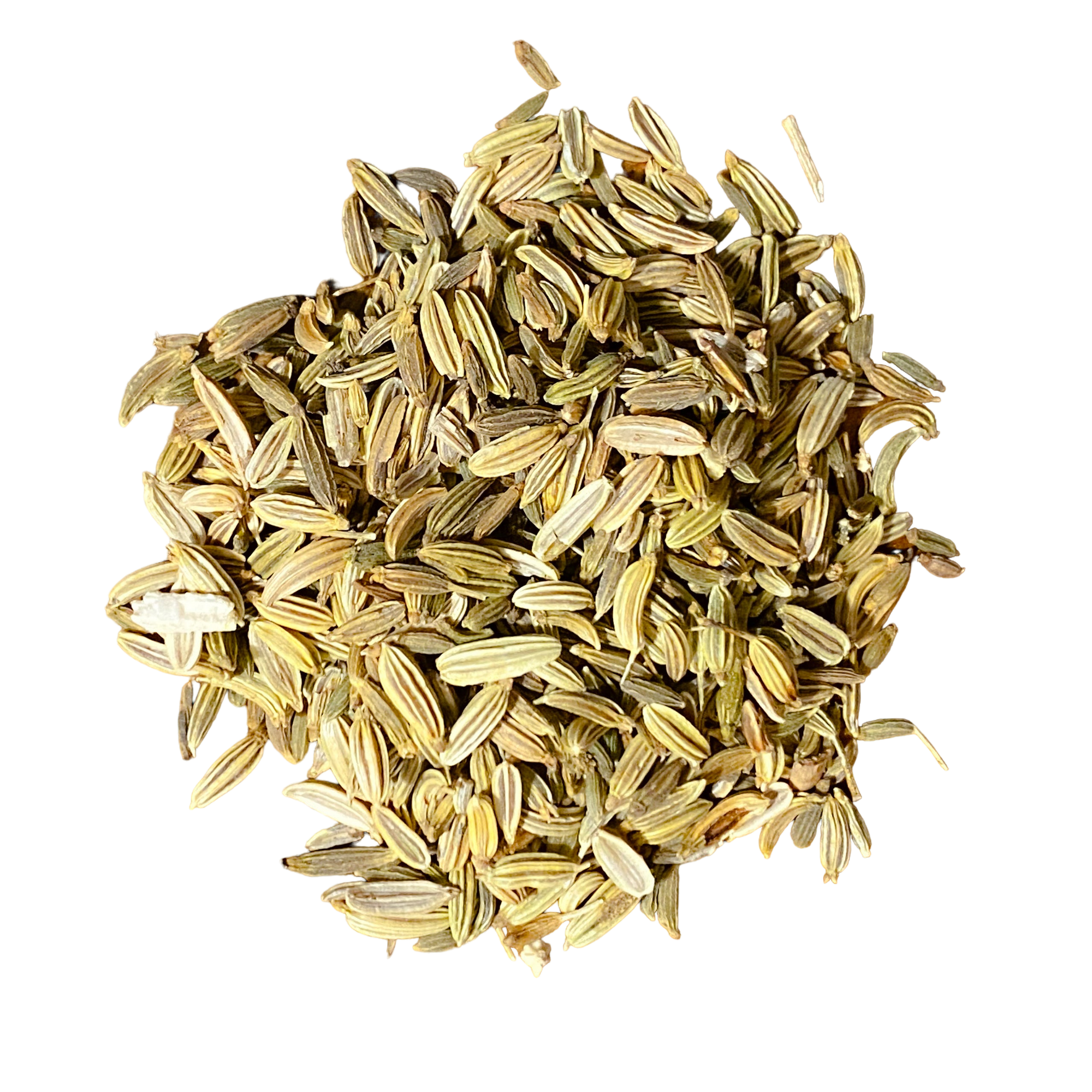 Fennel Seed