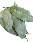 Bay Leaf