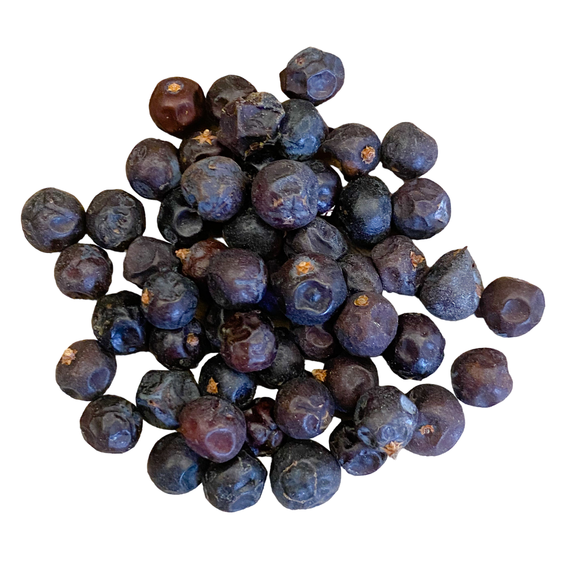 Juniper Berry