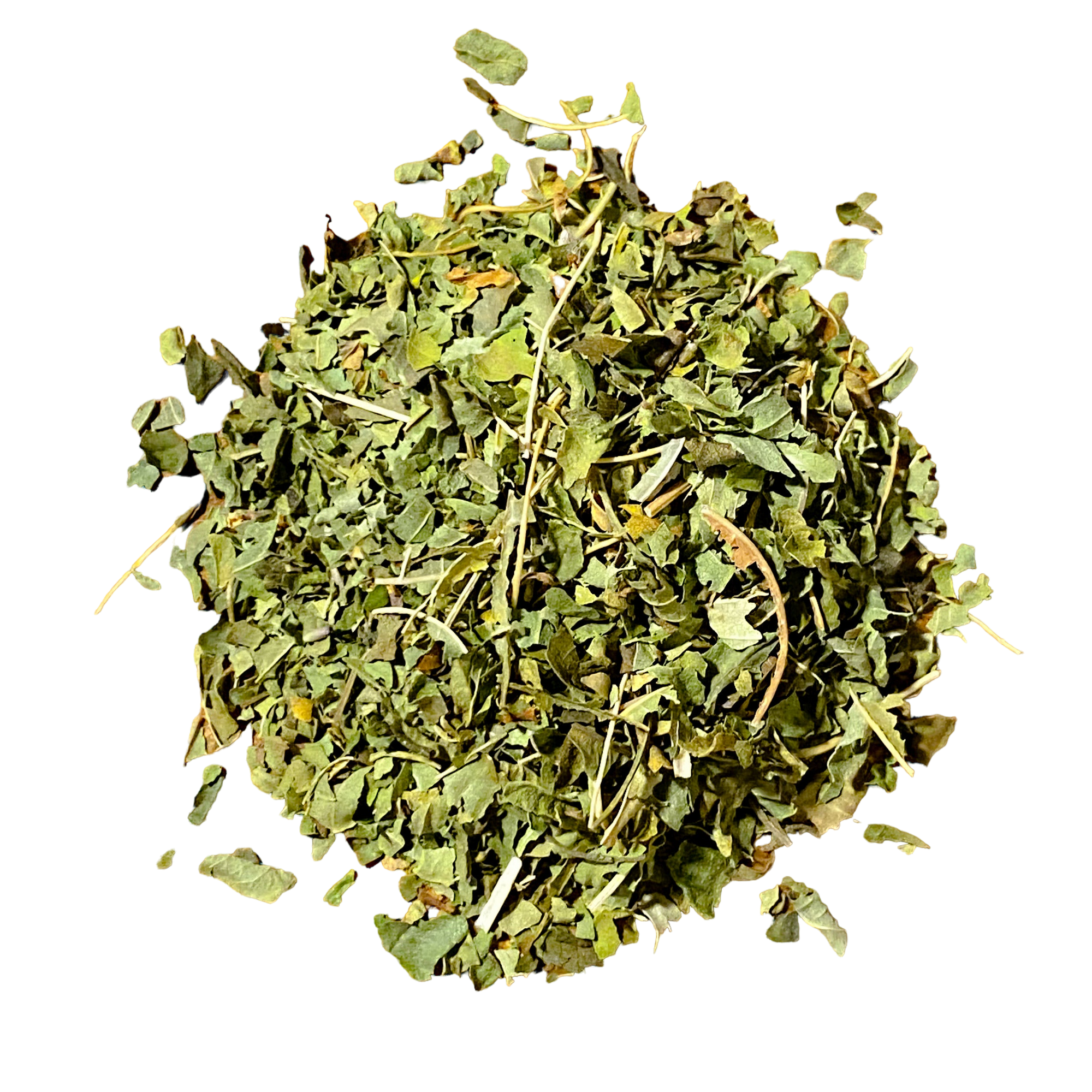 Lemon Verbena