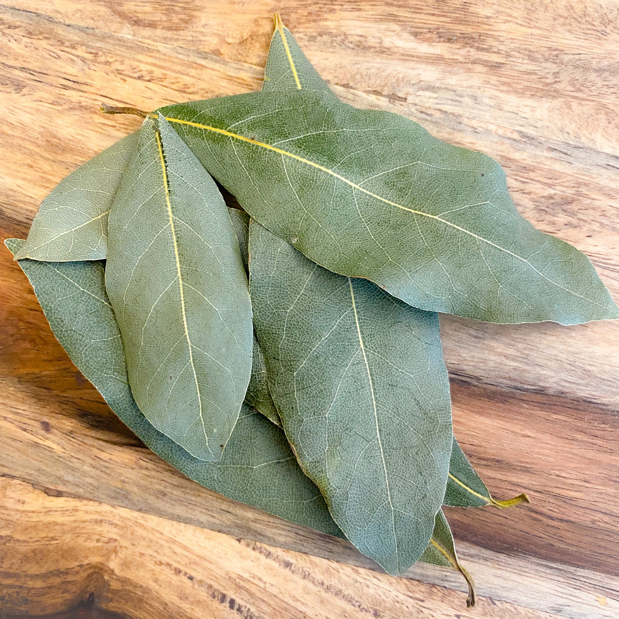 Bay Leaf