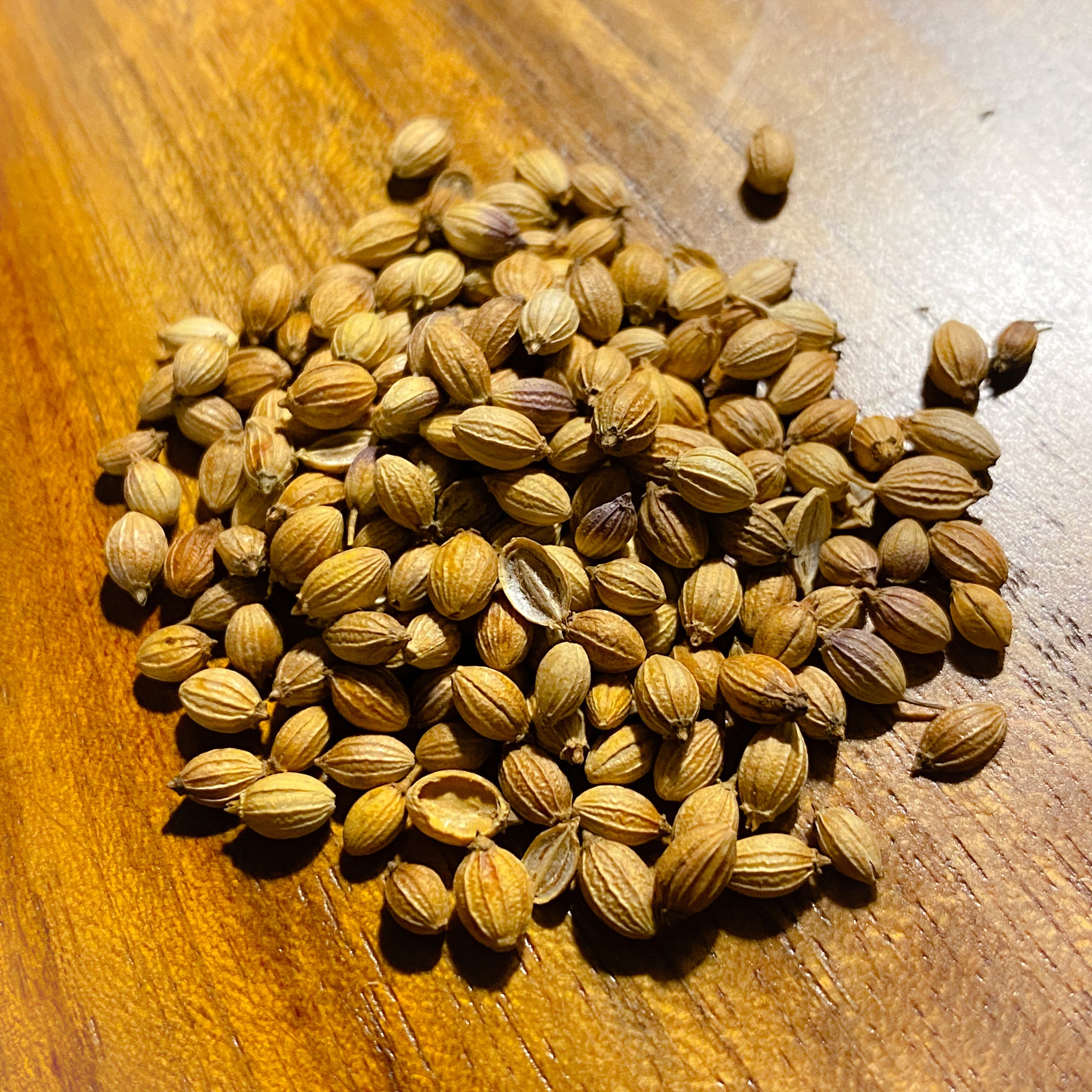 Coriander Seed