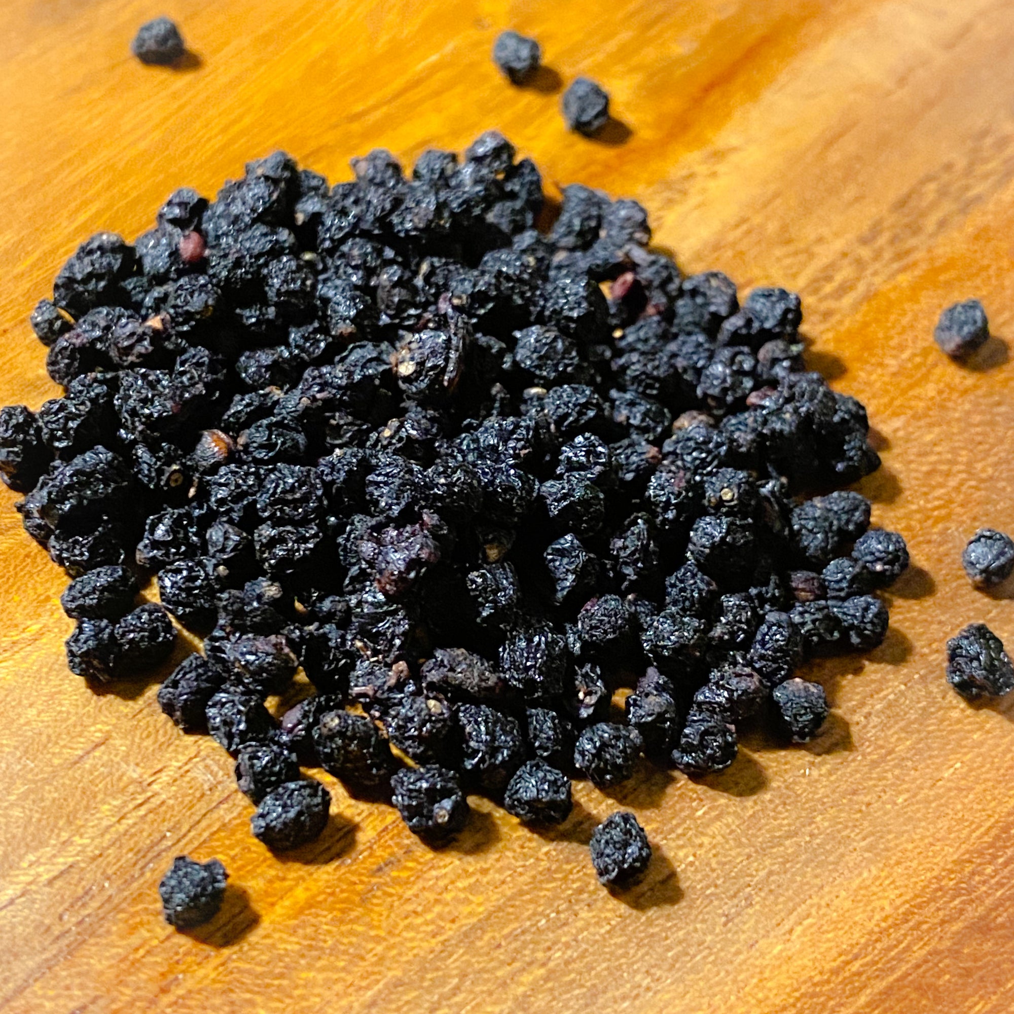 Elderberry